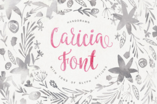 Caricia Font for Handmade Creations and Feminine Typography
