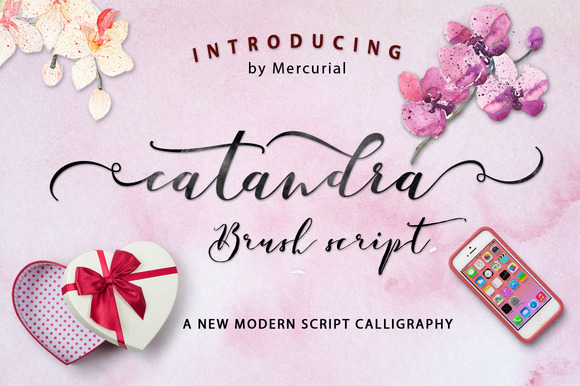 Catandra Script: A Modern Handmade Typeface for Editorial Design