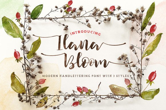 Ilana Bloom: A Feminine Script Handwritten Font for Elegant Crafts