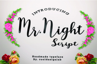 Mr. Night Typeface Review: Elevating Brand Identity with Handmade Script Fonts