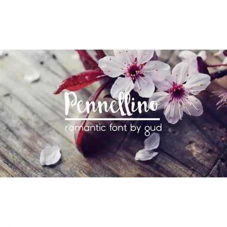 Pennellino Brush Typeface for Handmade Shop Branding