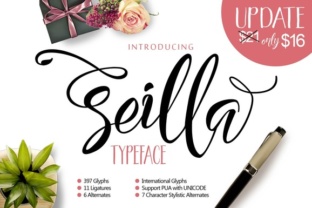 Seilla Script: A Modern Lettering Typeface for Contemporary Brand Identity
