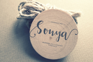 Sonya Script Typeface Review for Campaign Design